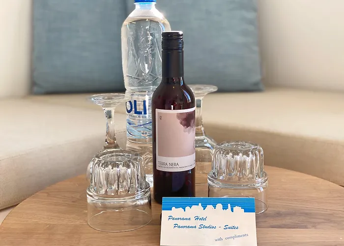 Hotel Panorama Boutique 4*